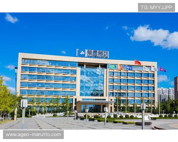 选择K8.com凯发国际版的五大理由让你体验最专业的在线娱乐服务 选择K8.com凯发国际版的五大理由让你体验最专业的在线娱乐服务